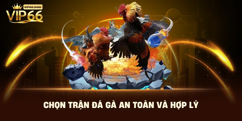 Chọn trận đá gà an toàn và hợp lý