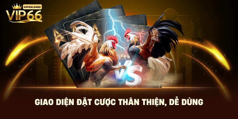 Giao diện đặt cược thân thiện, dễ dùng