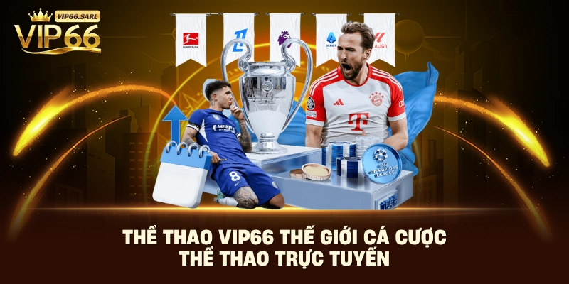 Thể thao Vip66 thế giới cá cược thể thao trực tuyến